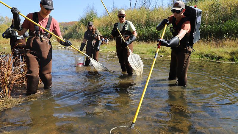 Lakeland College students practice electrofishing