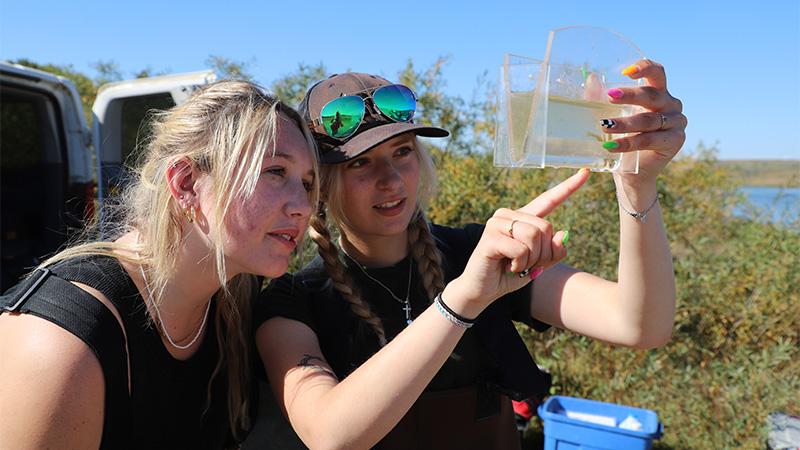 Students analyzing a water sample