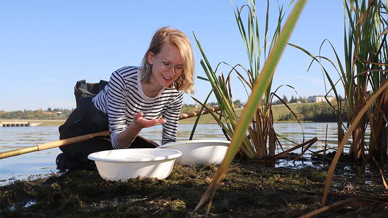 Student taking a sample in the wetlands