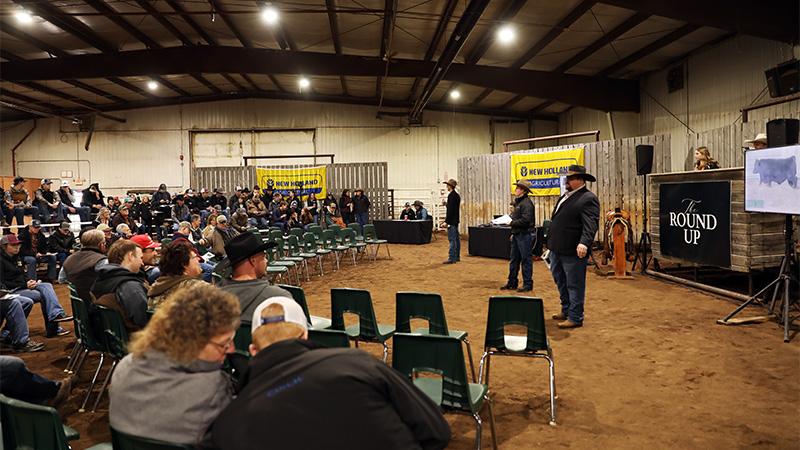 Bidding at the Round Up sale