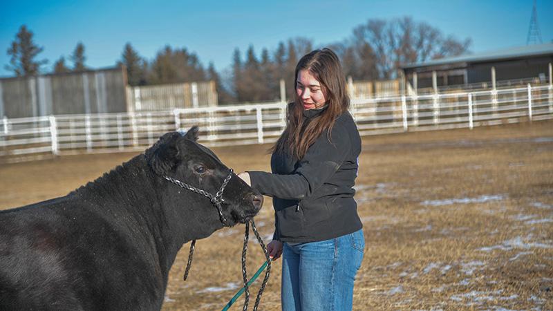 Kay Lee Zbudovski uses her 4H skills to show off 2N.
