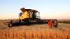 Two Lakeland College agricultural sciences students stand in front of a New Holland Agriculture harvester as they inspect a stalk of wheat.