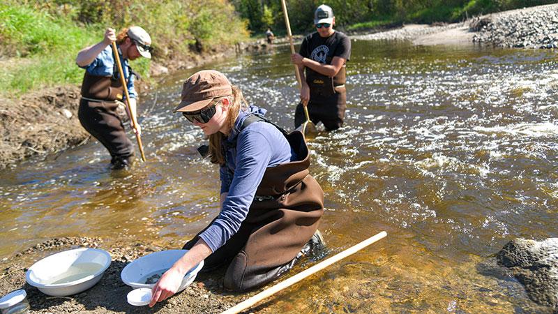 Students taking water samples during an electrofishing lab